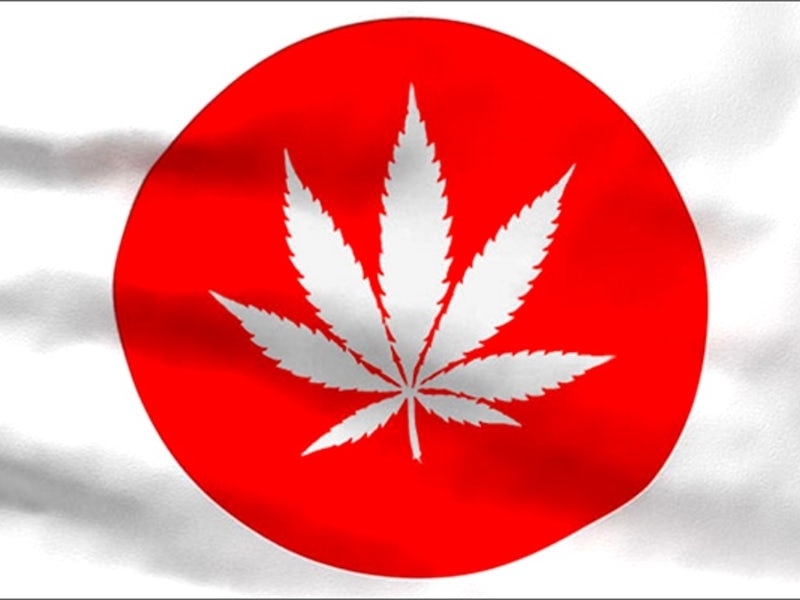 Medical Marijuana legalisation in Japan is currently underway